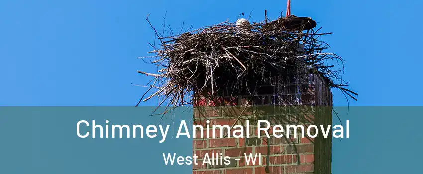Chimney Animal Removal West Allis - WI