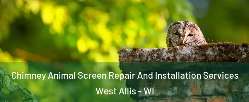  Chimney Animal Screen Repair And Installation Services West Allis - WI